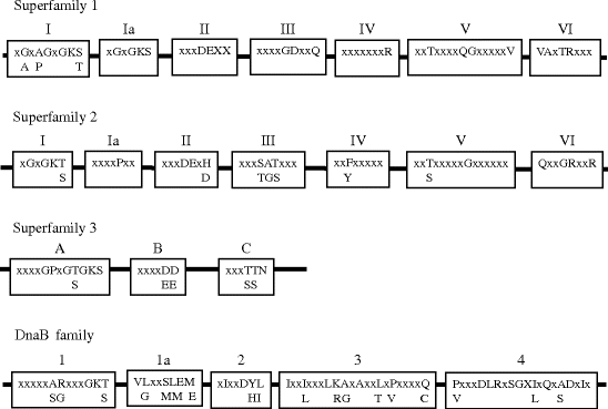 figure 20_2_117964_1_En