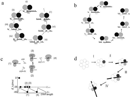 figure 20_6_117964_1_En