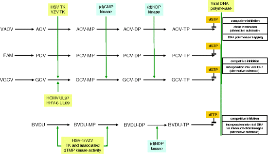 figure 22_2_117964_1_En