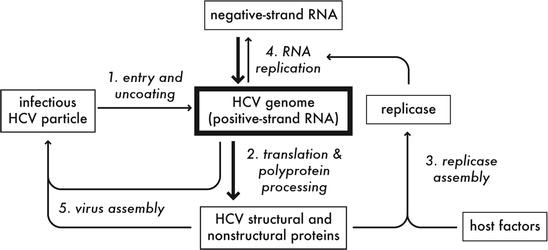 figure 4_1_117964_1_En