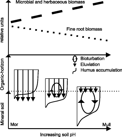 figure 11_24