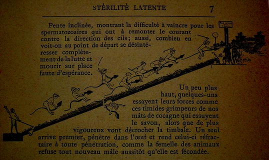 From Fructification To Insemination Nomenclature And The Practice Of Artificial Insemination Springerlink