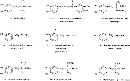 Aromatic L-Amino Acid Decarboxylase | SpringerLink