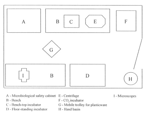 Setting Up a New Cell Culture Laboratory | SpringerLink Setting Up a New Cell Culture Laboratory | SpringerLink