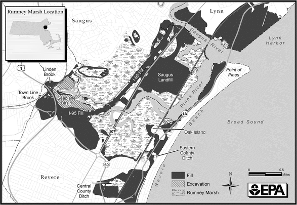 Restoration of Tidally Restricted Salt Marshes at Rumney Marsh 