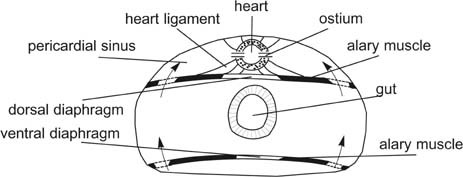 figure 1_0-306-48380-7_5