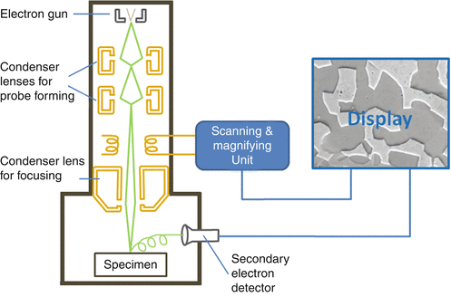scanning electron microscope block diagram
