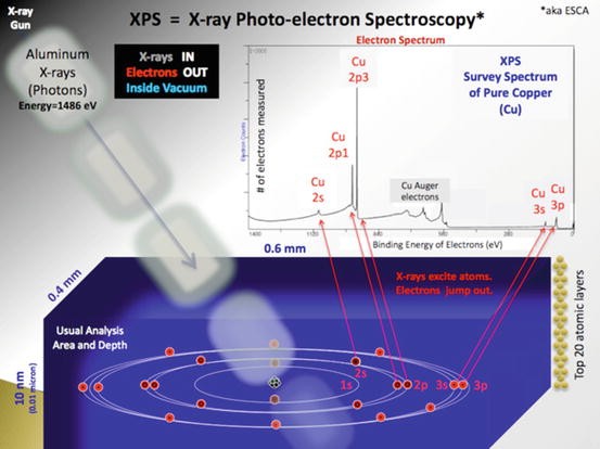 Understanding X-ray Photoelectron Spectra of Ionic Liquids