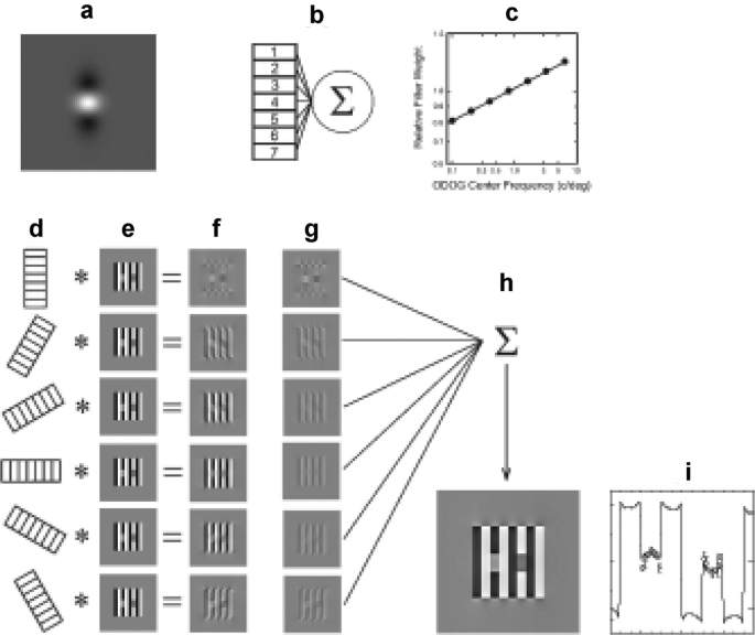 NetLogo Models Library: Optical Illusions