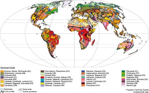 World Reference Base for Soil Resources - Wikipedia