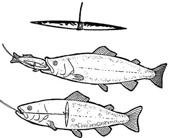 Fish Weir - Ancient Fishing Tool of Hunter-Gatherers
