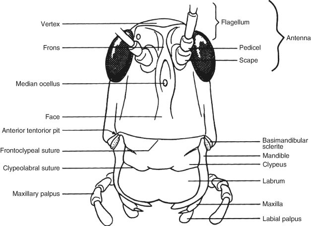 figure 15_1749