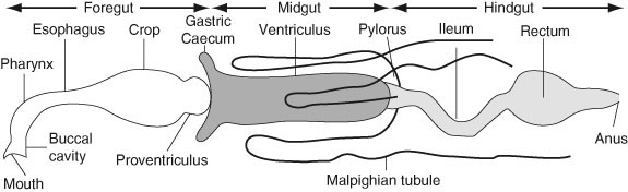 figure 4_1695