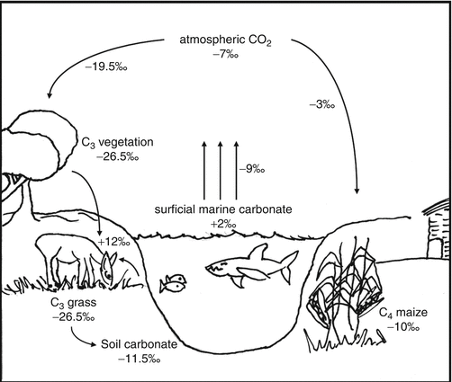 figure 280