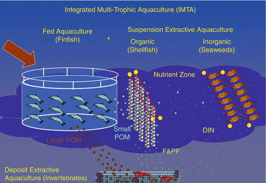 Aquaculture , Integrated Multi-trophic (IMTA)