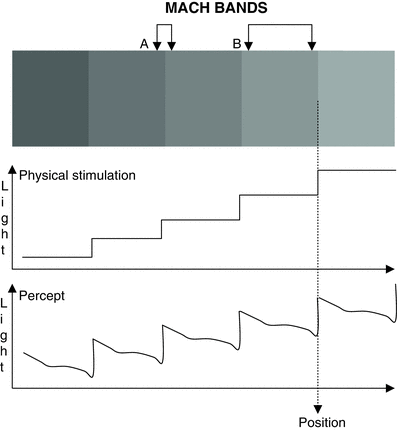 figure 131