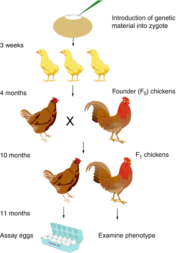 Avian Specific Transgenesis | SpringerLink
