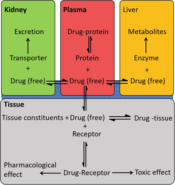 Drug Binding to Plasma Proteins | SpringerLink