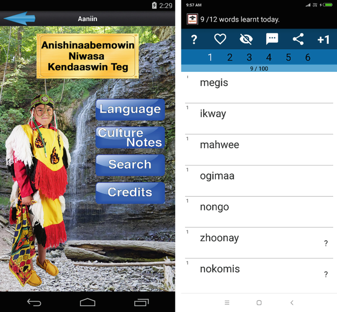 Indigenous Language Revitalization with Stories and Games | Springer ...