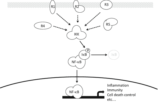 figure 107