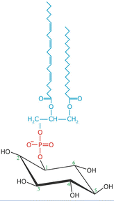 figure 1769