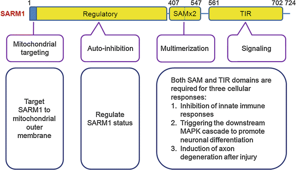 figure 2028