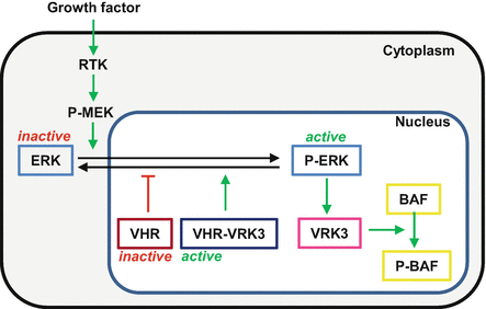 figure 2326