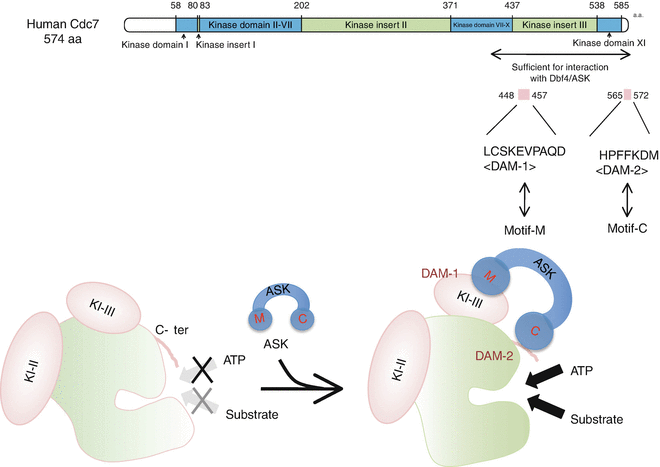 figure 4128