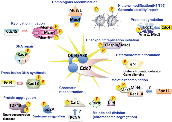 figure 4131