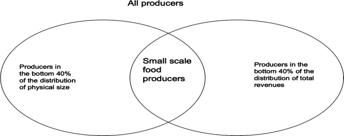 Small-Scale Food Producers: Challenges and Implications for SDG2