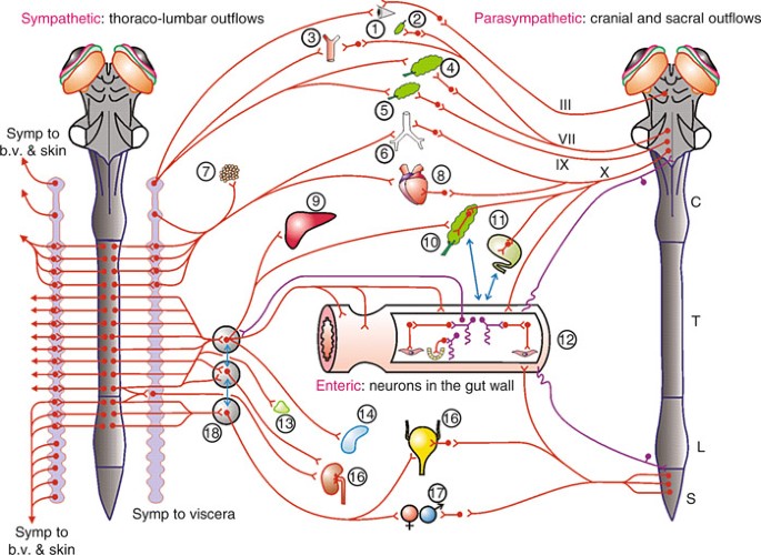 figure 194