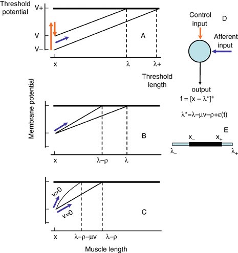 Equilibrium Point Control | Springer Nature Link