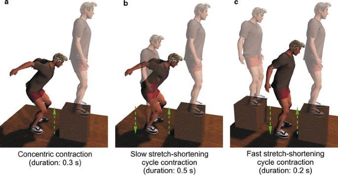 3.2 Create Massive Lag & Speed: Stretch Shortening Cycle • Top