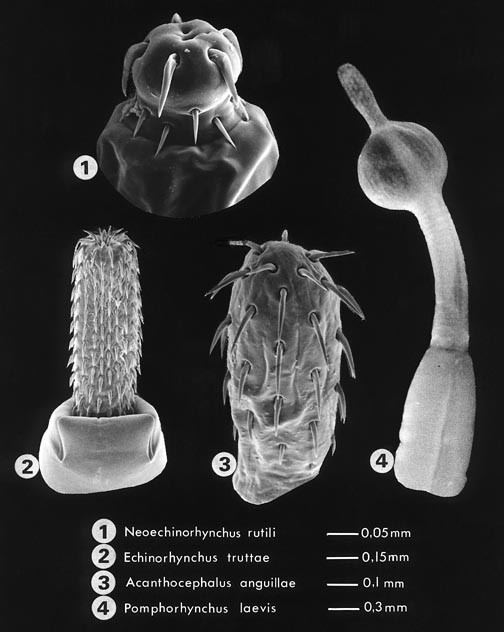 figure 1_15