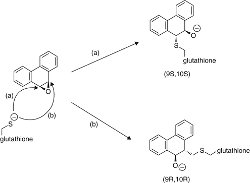 Drug Metabolism Computational Studies of Mechanisms | Springer Nature Link Drug Metabolism Computational Studies of Mechanisms | Springer Nature Link