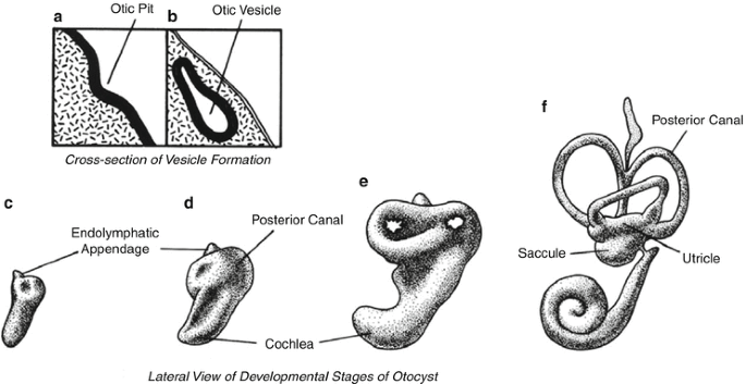 figure 344