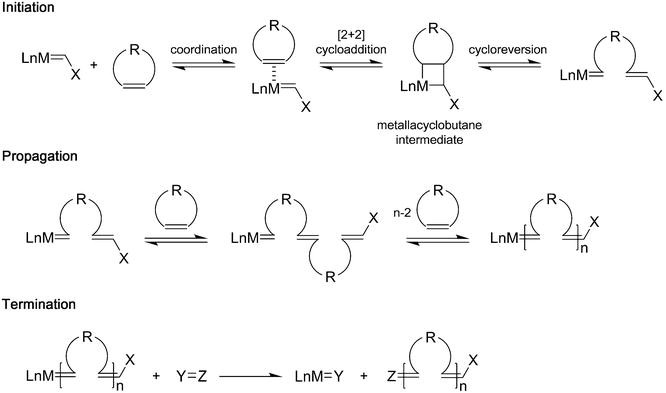 Ring-Opening Metathesis Polymerization | SpringerLink