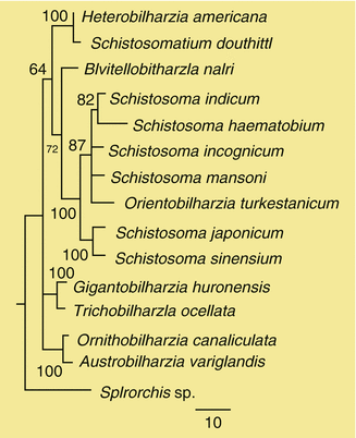 figure 1998