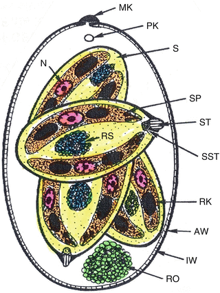 figure 19143