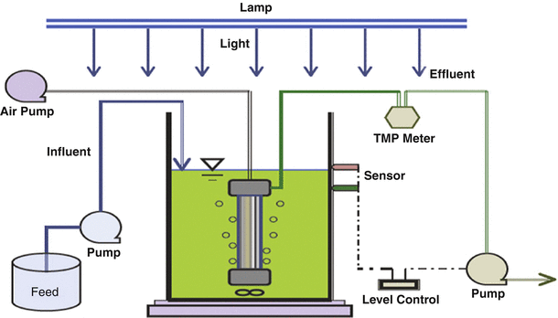 figure 206