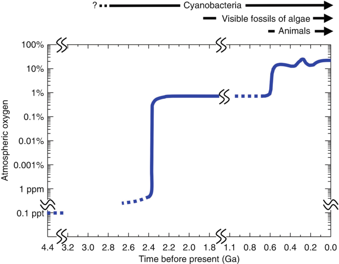 Oxygenation of the Earth’s Atmosphere | SpringerLink