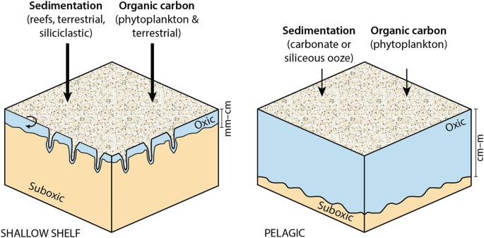 Oxic Sediments | Springer Nature Link