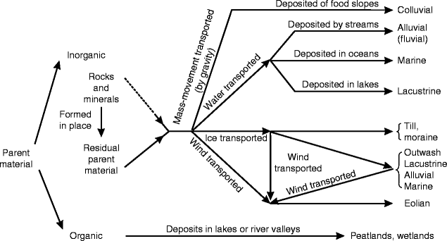 Parent Material and Soil Physical Properties | SpringerLink