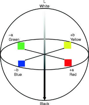 Color in Food Evaluation | SpringerLink