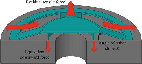 figure 20306