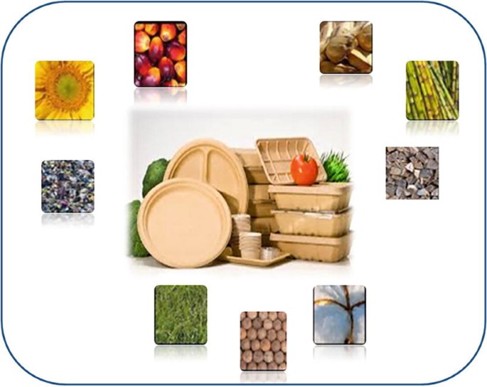 Bio-Based Materials in Food Packaging and Nutrition | Springer Nature Link