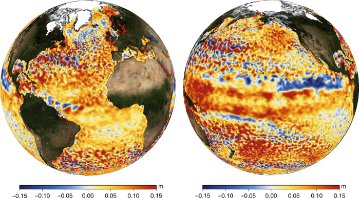 The role of submesoscale currents in structuring marine ecosystems ...