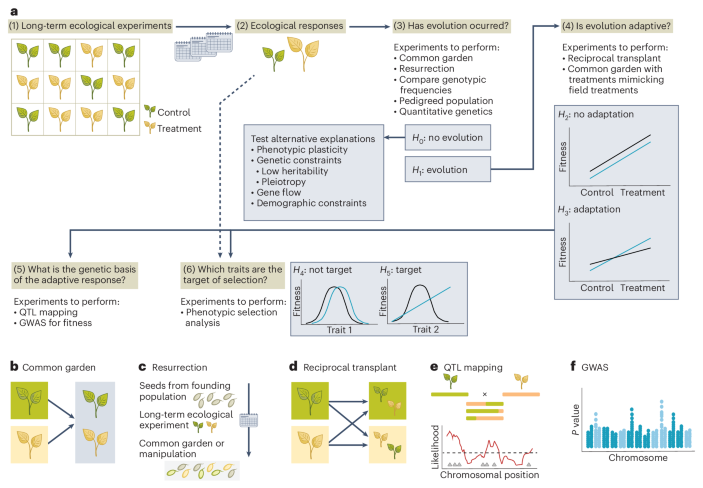 The value of long-term ecological research for evolutionary insights ...
