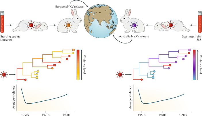 Phylogenetic Approach Reveals That Virus Genotype Largely Determines HIV  Set-Point Viral Load