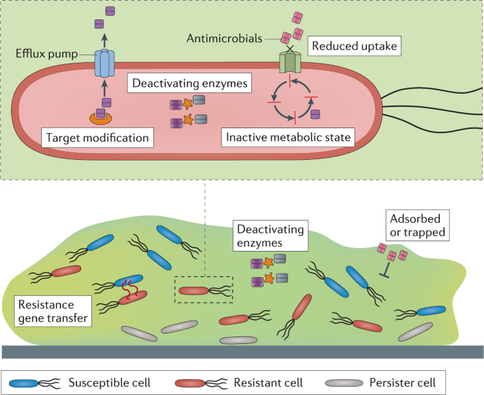 Binding Force and Site-Determined Desorption and Fragmentation of  Antibiotic Resistance Genes from Metallic Nanomaterials